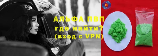 твердый Магас