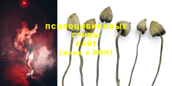 стафф Магадан