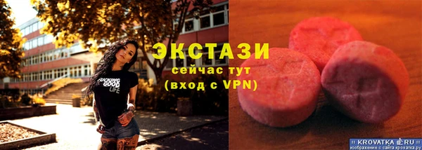 твердый Магас