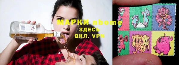 твердый Магас