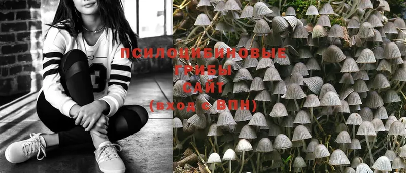 Псилоцибиновые грибы Magic Shrooms Заозёрск