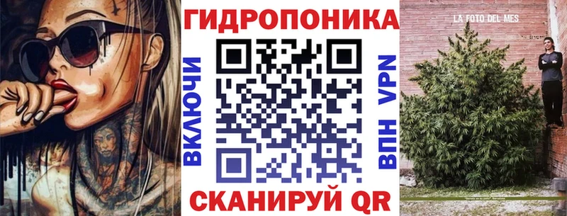 купить наркотики сайты  Заозёрск  KRAKEN ТОР  Бошки марихуана индика 